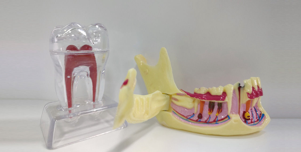 Clínica Dental Los Ciruelos